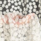 [459400]_[X6]_fir_daisy_b
