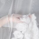 [460880]_[X6]_mh_z_roses_2_b